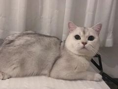 -荔康动物医院(康王北路店)