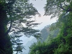 -王顺山国家森林公园
