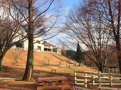 -神户市立六甲山牧场