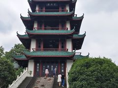 -桂湖森林公园