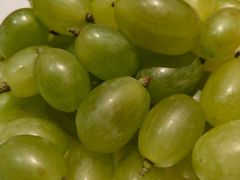 -犇鼎牛潮汕牛肉火锅(新辰里学清路店)