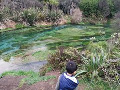 -怀托摩萤火虫洞