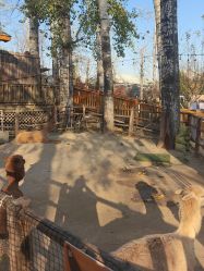 -禧园Joyous Garden ·宴会厅(禧园店)