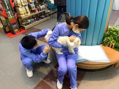 -联合动物医院(光谷诊疗中心)