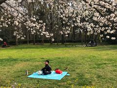 -紫霞湖公园