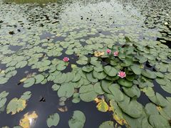 -苏州太湖国家湿地公园
