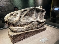 -自贡恐龙博物馆