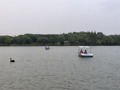 -昆山城市生态森林公园