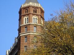 -丽思卡尔顿酒店-天泰轩中餐厅(大沽北路店)