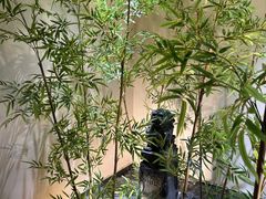 -西郊竹园甲鱼面(老一中店)