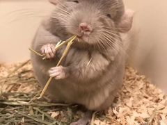 -龙猫仔乐园(惠福东路店)