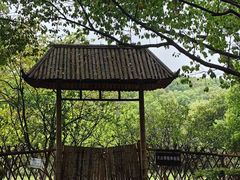 -东方绿舟景区