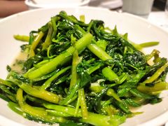 -壹盏灯(惠农店)