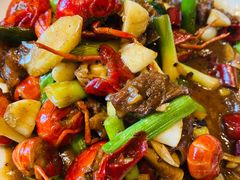 -一撮毛美食城(全力一路店)