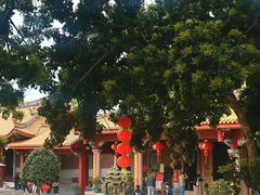 -仙岳公园