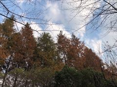 -石湖景区