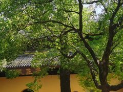 -西园戒幢律寺