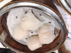 虾饺-点点心点心专门店(湾仔店)