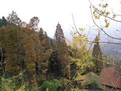 -钟鼎寺