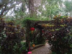 -海南热带野生动植物园