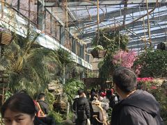 -天目湖山水园