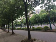 -上海中医药大学附属曙光医院(东部)