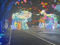 -厦门园林博览苑