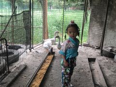 -洪湖家庭农场·团建·露营·会议