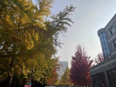 -辽宁大学(崇山校区)
