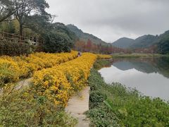-广州市石门国家森林公园