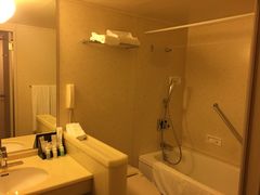 -京都全日空皇冠假日酒店