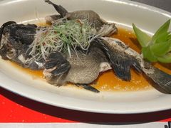 -馋遇江南·精致湖景雅宴(东方之门店)