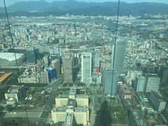 -顶鲜101美食美景餐厅
