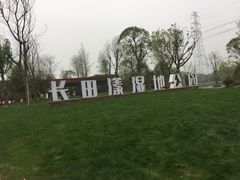 -长田漾湿地公园