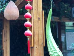 -山大王菌莊