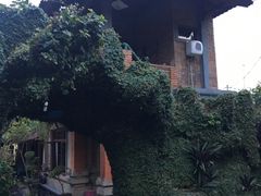 -乌布德传统市场