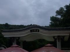 -茶颜悦色(岳麓山顶店)