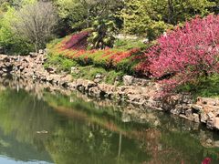 -冶父山国家森林公园