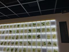 -广东中医药博物馆