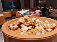 -龍歌自助小火锅(崂山丽达店)