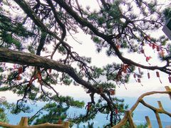-罗田天堂寨风景区