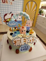 -维倪月子会所(独栋庭院·南海店)