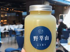 -野萃山·潮汕厚果汁(十亩地店)