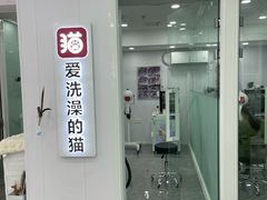 -爱洗澡的猫(望京店)