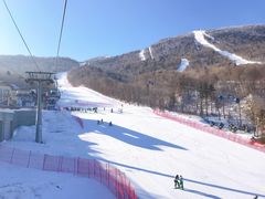 -亚布力新体委滑雪场