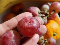 -北京索菲特大酒店