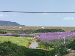 -光明小镇欢乐田园