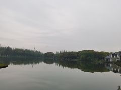 -新洲生态园