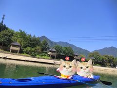 -杨家寨