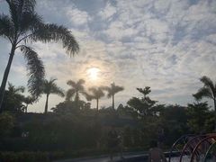 -林丰温泉度假山庄